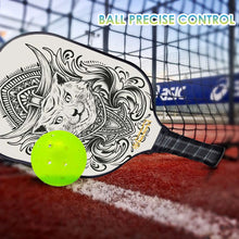 Load image into Gallery viewer, Pickleball Paddle Set, PB0003 Pickleball Rackets , Pickleball Net Set