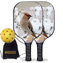 Cargar imagen en el visor de la galería, Pickleball Starter Set, PB0004 Best Pickleball Paddle , Pickleball Starter Set