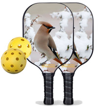 Cargar imagen en el visor de la galería, Pickleball Starter Set, PB0004 Best Pickleball Paddle , Pickleball Starter Set