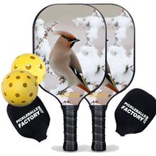 Cargar imagen en el visor de la galería, Pickleball Starter Set, PB0004 Best Pickleball Paddle , Pickleball Starter Set