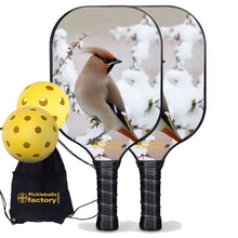 Cargar imagen en el visor de la galería, Pickleball Starter Set, PB0004 Best Pickleball Paddle , Pickleball Starter Set