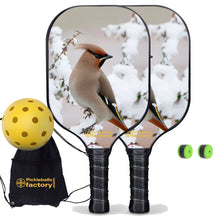Cargar imagen en el visor de la galería, Pickleball Starter Set, PB0004 Best Pickleball Paddle , Pickleball Starter Set