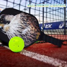 Load image into Gallery viewer, Pickleball Set | Pickleball Paddles | Pickleball Near Me Now | SX0075 BIG EYE HAWK Pickleball Paddle Athletic