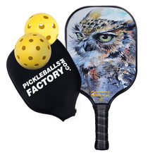 Load image into Gallery viewer, Pickleball Set | Pickleball Equipment | Top 5 Pickleball Paddles Demo | SX0084 HAWK KILL Pickleball Paddle for Retail Store