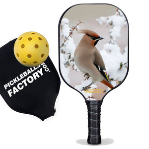 Best Pickleball Paddle , PB0004 Peace Bird Outdoor Voices Pickleball - Official Pickleball Balls