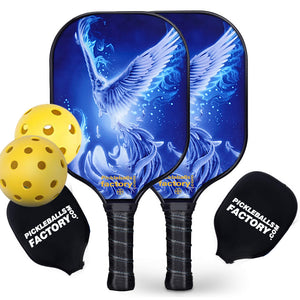 Pickleball Paddle | Playing Pickleball | Top Rated Pickleball Paddles 2021 | SX0049 BLUE HAWK Pickleball Set for training 
